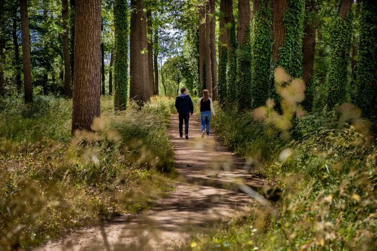 Struinen over de lanen van het landgoed
