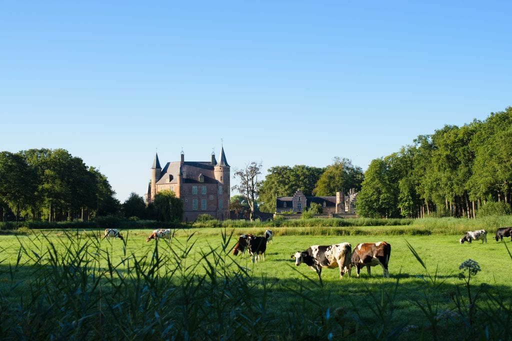 Het kasteel van brabant