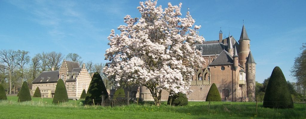 Prachtige lentebloesem