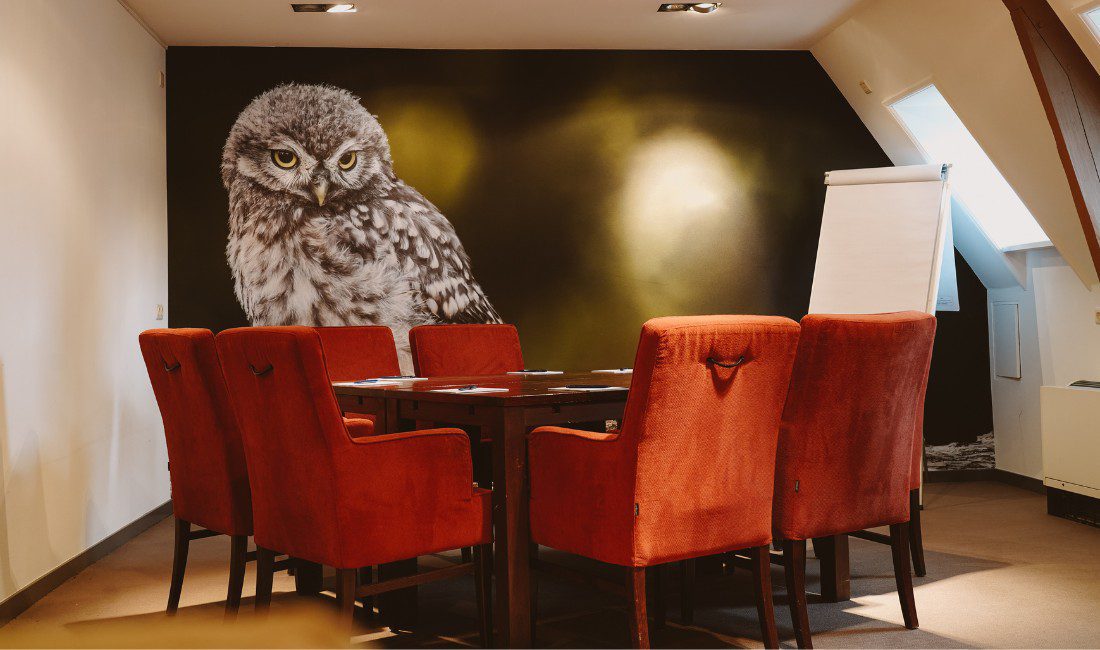 Kamer 3 - kasteel heeswijk