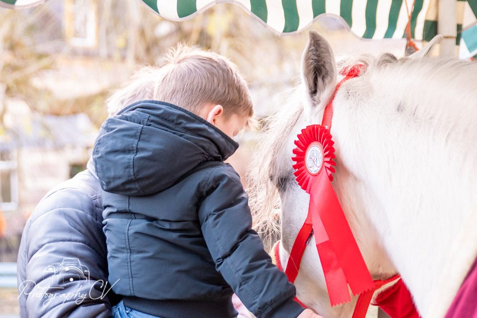 Sinterklaas Den Bosch Ozosnel Fandagen