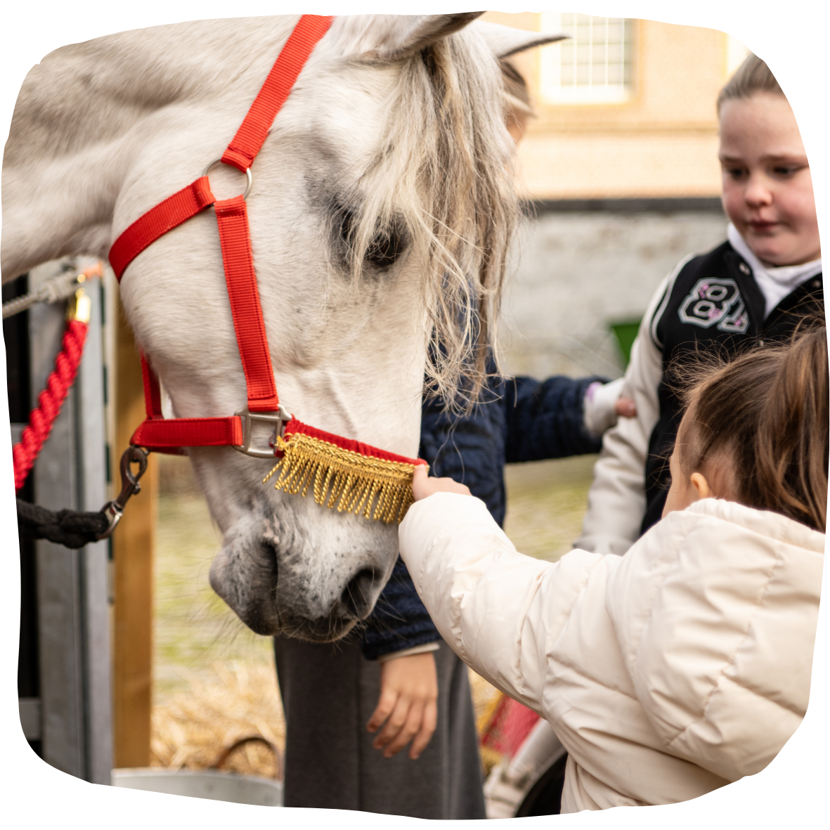 ozosnel fandagen kasteel heeswijk sinterklaas den bosch